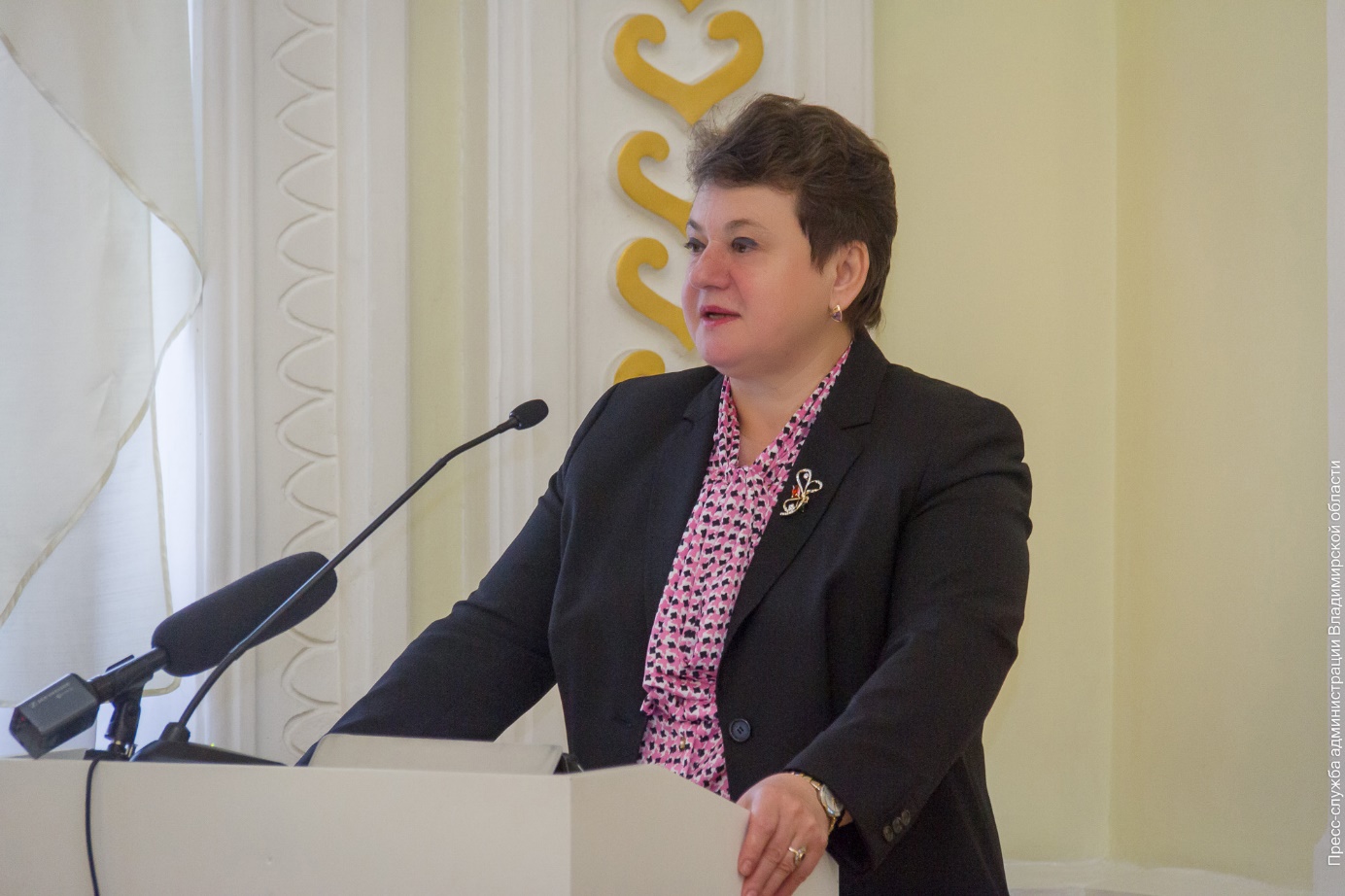 ГЕНЕРИУМ на совещании по итогам 2016 года у губернатора Владимирской области С. Ю. Орловой фото