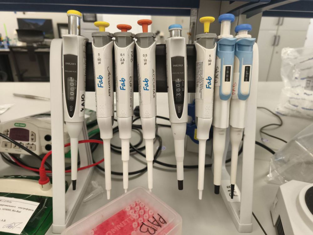 Vademecum: «Генериум» зарегистрировал первый отечественный препарат для лечения синдрома Хантера фото